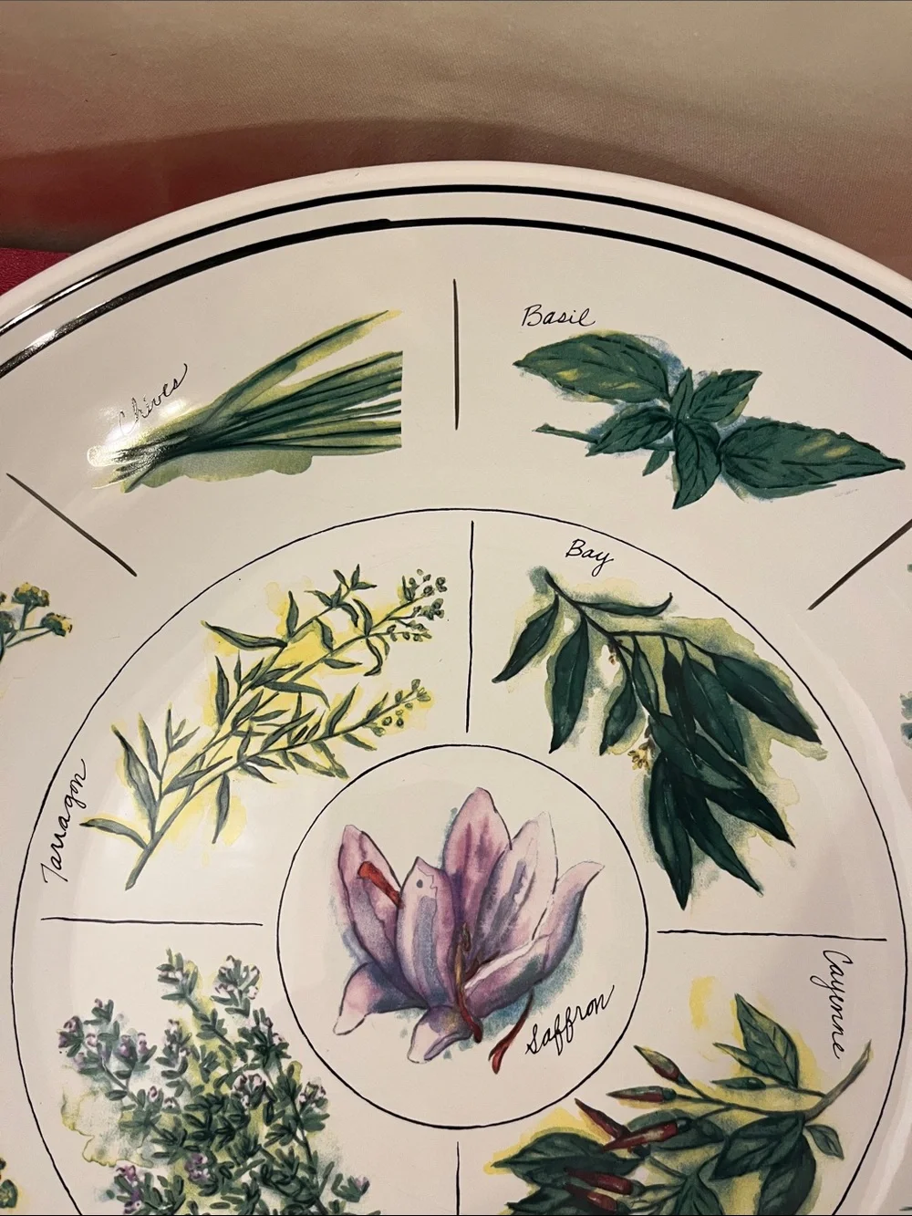 WILLIAMS-SONOMA Portugal,12”3/4 D 2”3/4 H Design Ceramic PASTA SERVING BOW